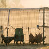Chicken coop run at dawn with the Omlet automatic chicken feeder