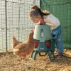 Little girl watching a hen from behind the Omlet automatic chicken feeder