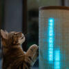 Chat griffant le Switch avec mode lumière bleue