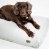 Cushion dog bed in white corduroy