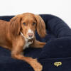 detail of supportive Omlet cord bolster dog bed
