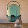 hanging insulated stay clean chicken waterer with nipples