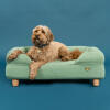 dog lying on luxury organic cotton corduroy moss memory foam bolster dog bed