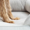 detail of paws in a cord bolster dog bed