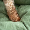 detail of durable corduroy nest dog beds by omlet
