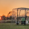 Chicken coop run at dusk with the Omlet automatic chicken feeder