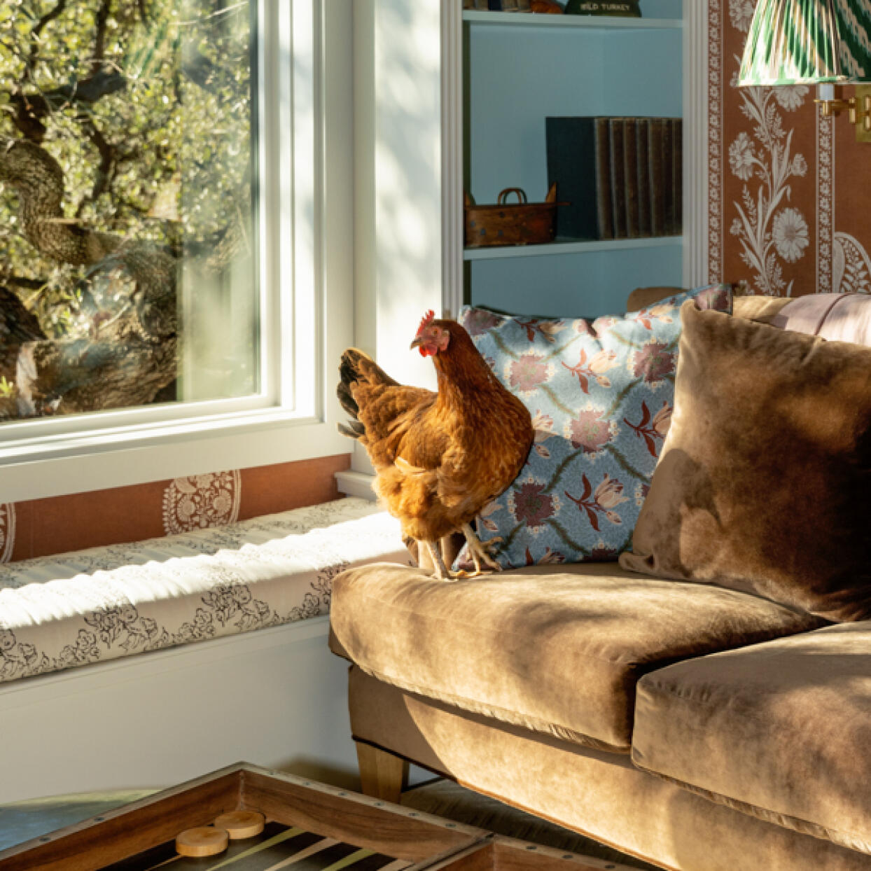 Whole home living room launch