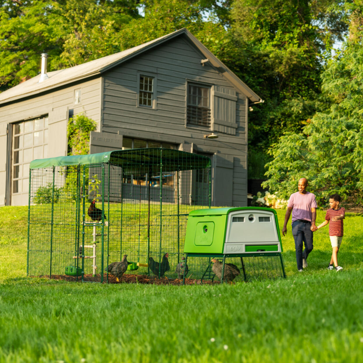 Large lawn with a coop and run set up on a sunny day with people walking by.