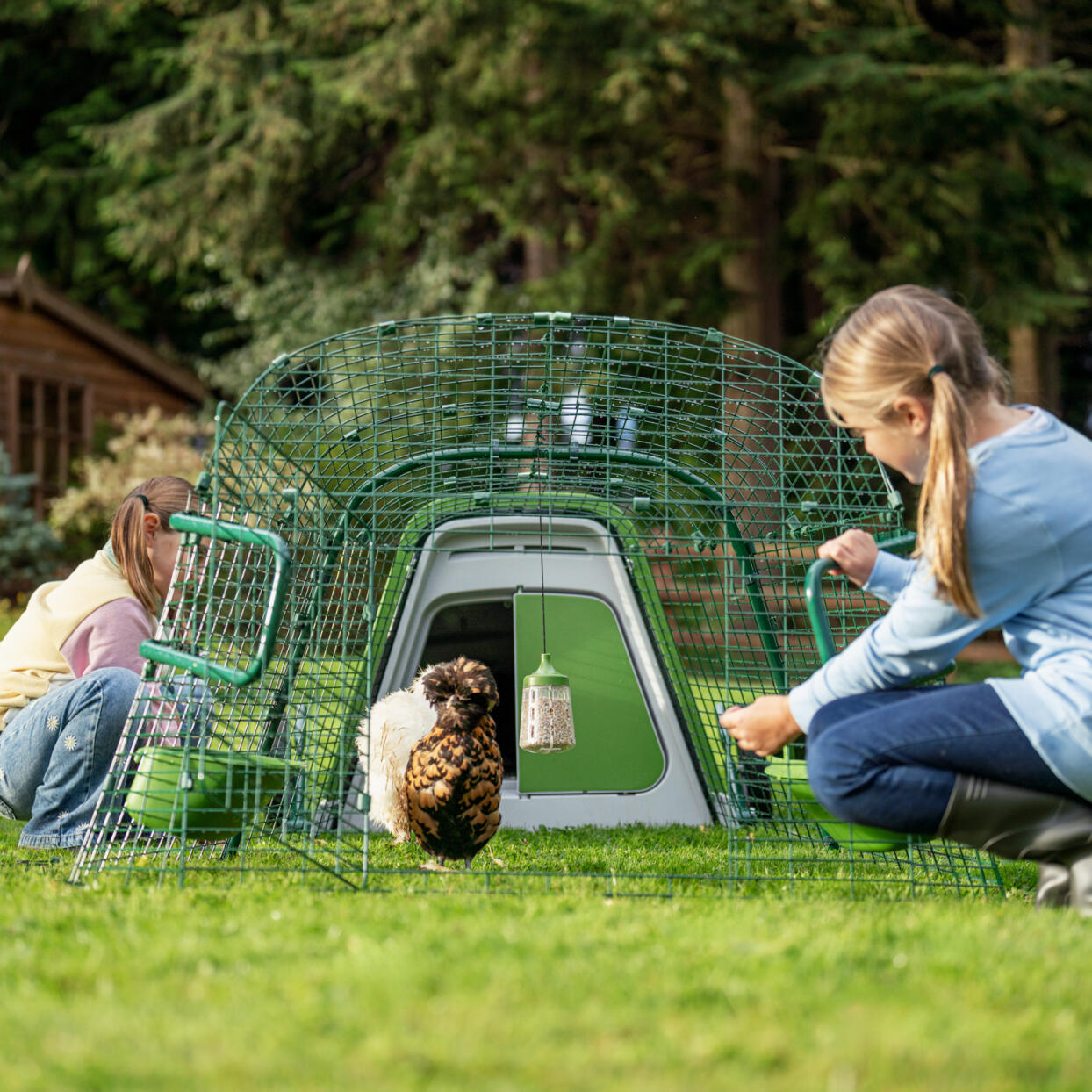 Enfants laissant les poulets sortir d'un enclos Eglu Go 