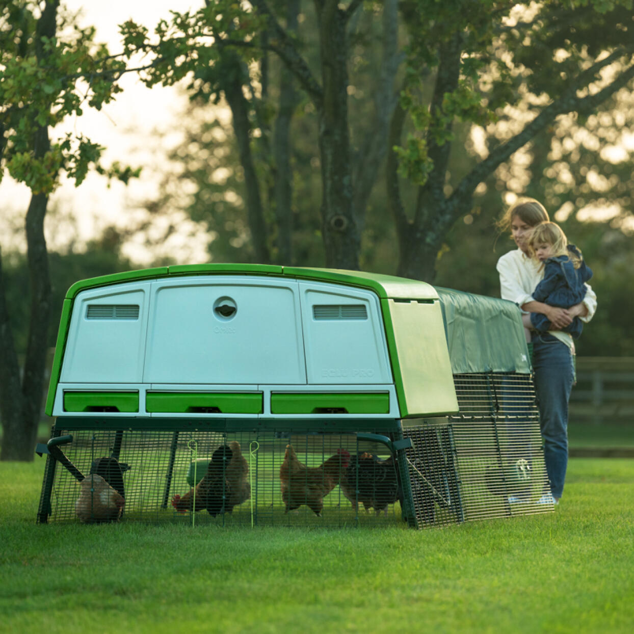 woman carrying young child looking at a large chicken coop