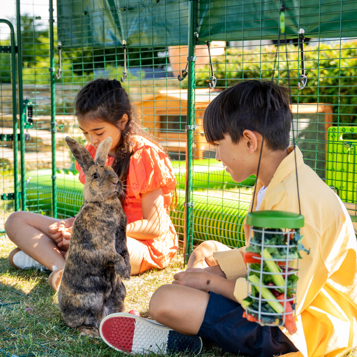 outdoor rabbit run