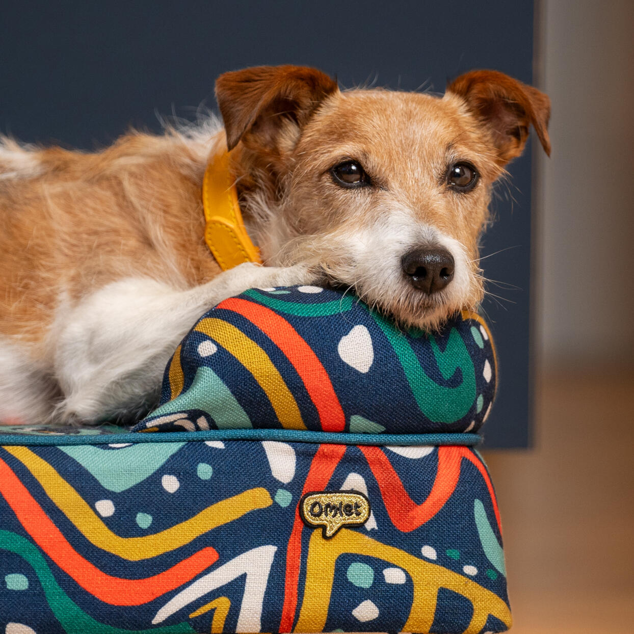 small memory foam bolster dog bed in zoomies pattern