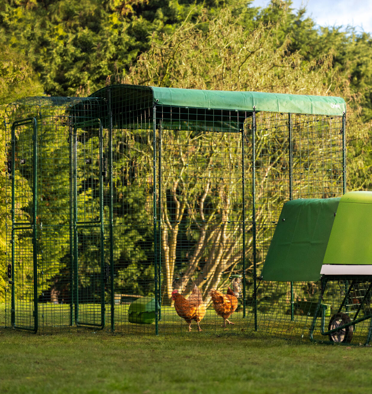 an eglu go up chicken coop attached to an omlet walk in chicken run