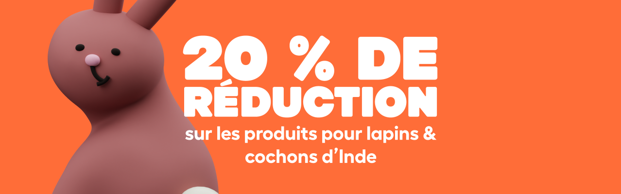 Bannière de la page de promotion « lapins et cochons d'inde 26 »