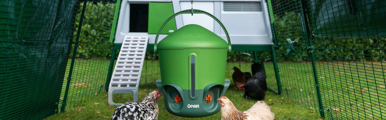 insulated chicken waterer with visible water level window
