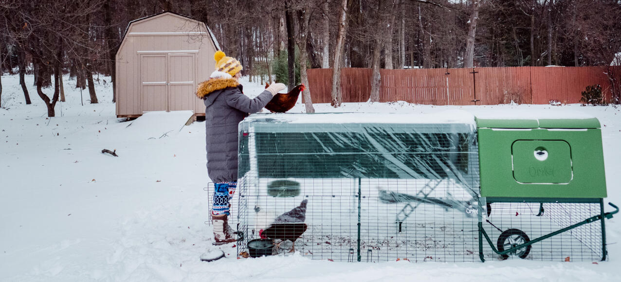 Green Eglu Cube large chicken coop in the Snow