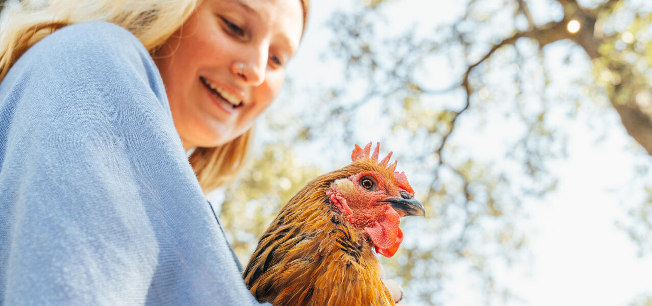 Woman with chicken whole home roundup