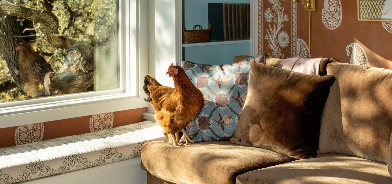 Whole home living room