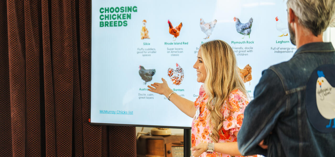 Chicken presentation whole home roundup