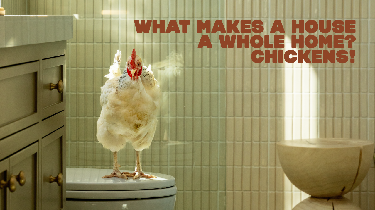 Whole home Hero banner title