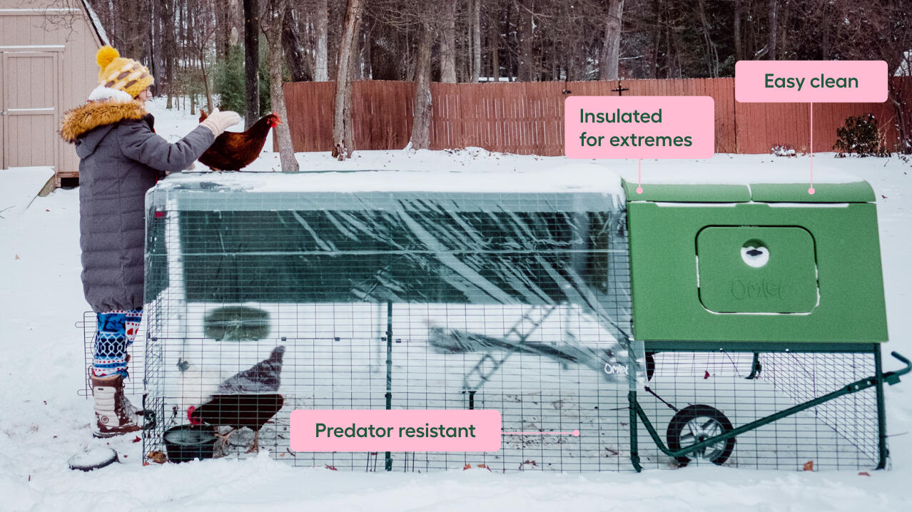 winter features for eglu cube insulated chicken coop