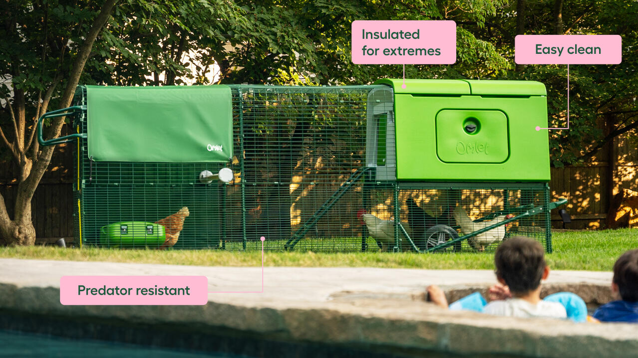 Features and benefits of the Omlet chicken coops