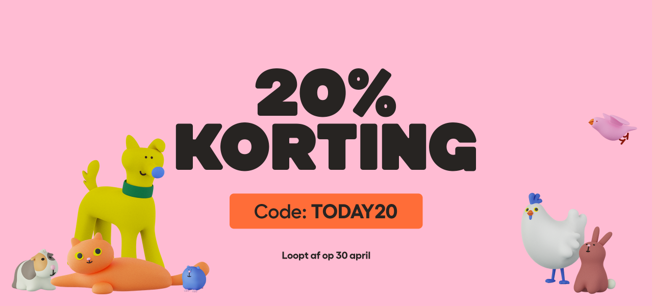 Flash sale 26 desktop nl