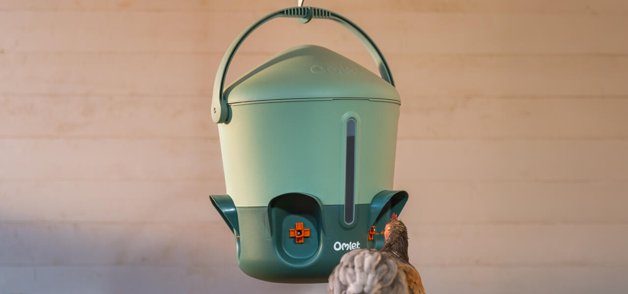 Insulated chicken waterer