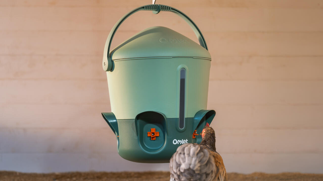 insulated chicken waterer with visible water level window