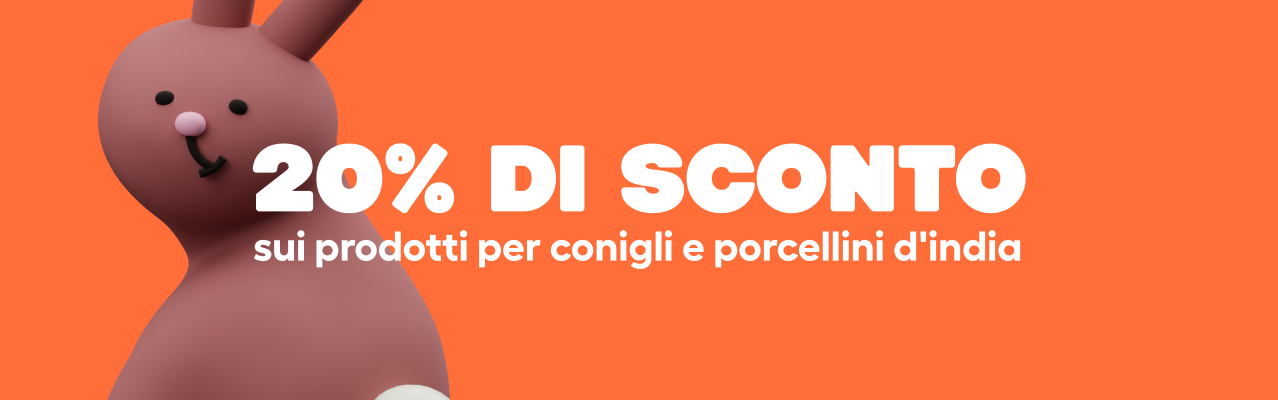 Promozione rabbit, 26 settembre