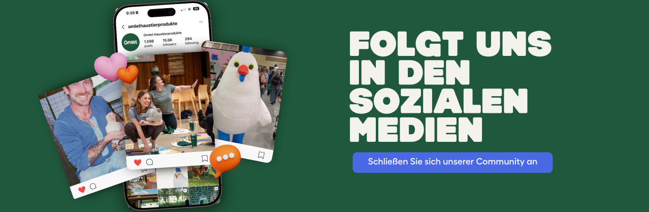Banner für soziale medien - dsk