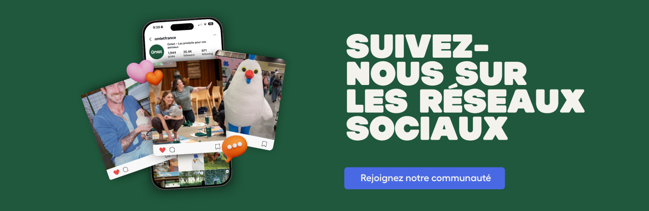 Fr social banner dsk