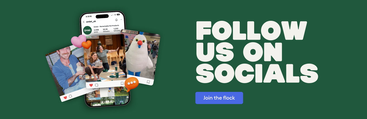 Uk instagram social banner Dsk