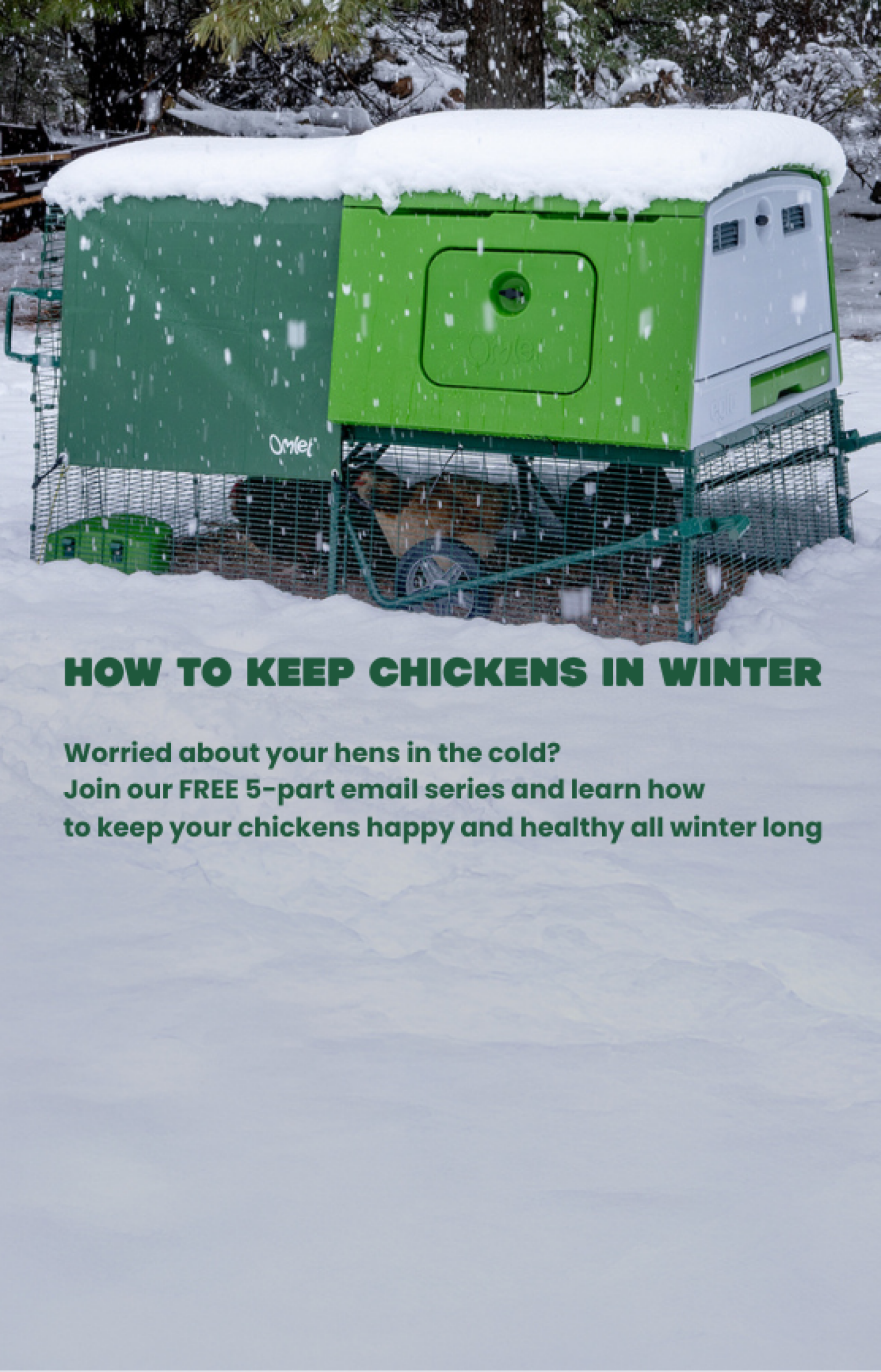 winter course form mb