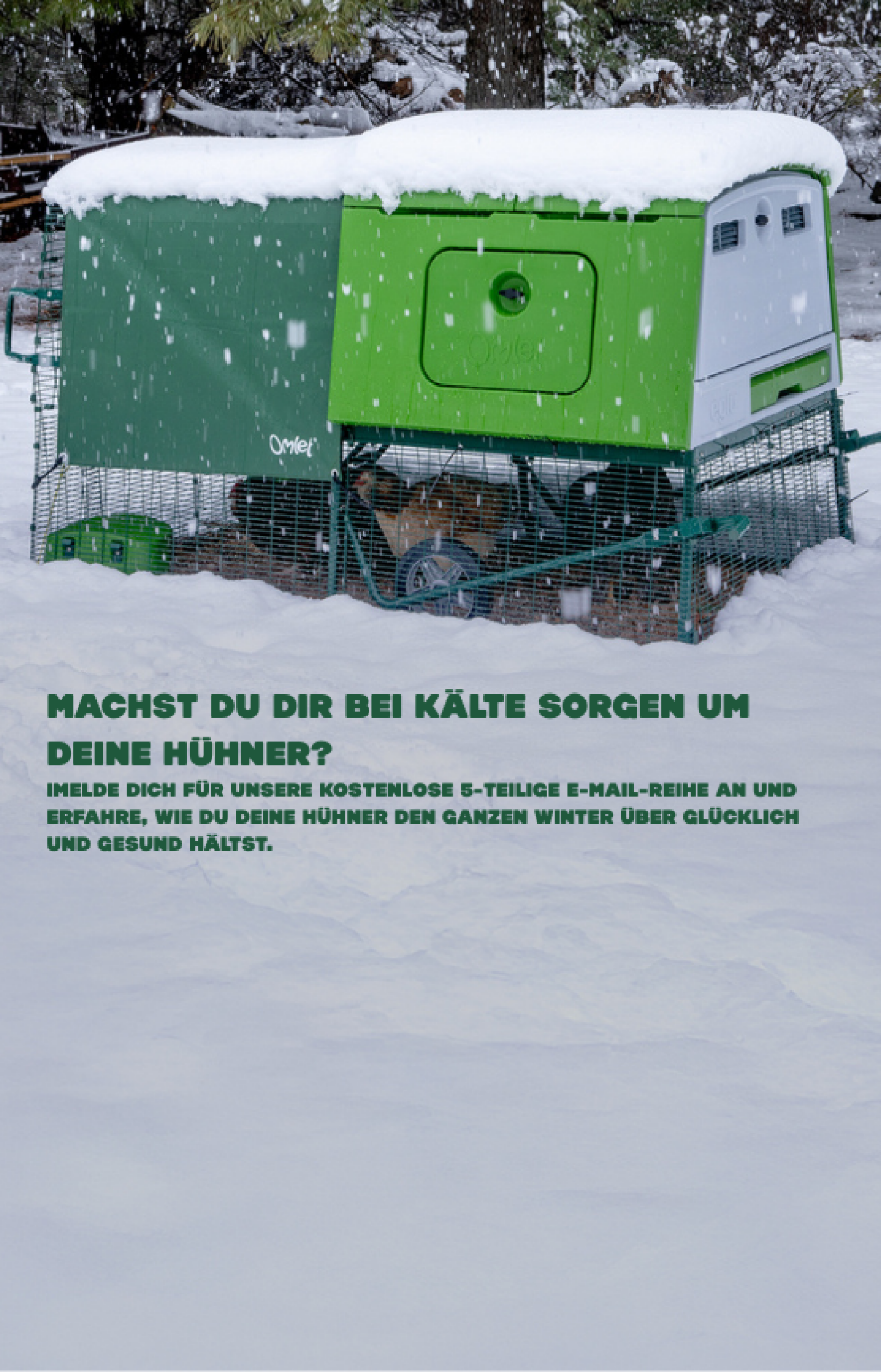 Winterkurs hühnerhaltung mb