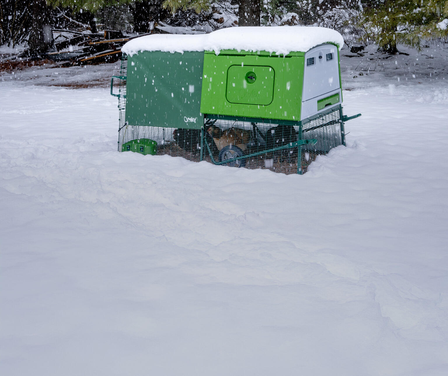 eglu cube in snow