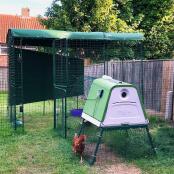 Onze dames het hele jaar door beschermen