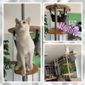 A magnificent refuge