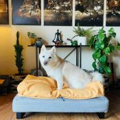 Sturdy, well made, comfortable bed