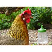Chicken and Omlet peck toy