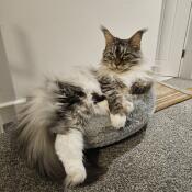 Great quality but quite small