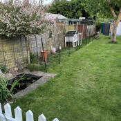 The chicken fencing set up in a garden.
