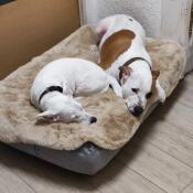 Excellent functionality