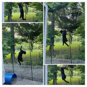 Nice and easy to assemble