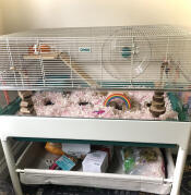 Incroyable !! 5*****