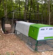 A green chicken coop with a run attached to another run