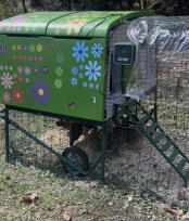 Nett’s Hen Brothel