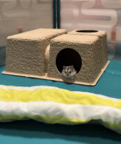 Albert zazou in his hiding place 