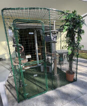 Holly & milo love their enclosure