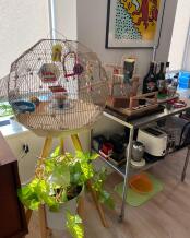 A bird cage in a room